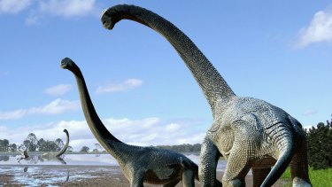 Australia's very own titanosaur species, savannasaurs.