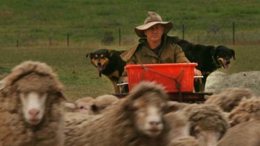 Shear disaster ... the rot set in during the Menzies era, says Charles Massy, at home on his merino stud near Cooma.