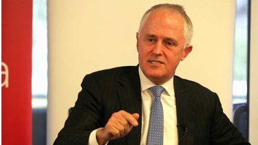 Communications Minister Malcolm Turnbull has denied the appointments were politically-driven.