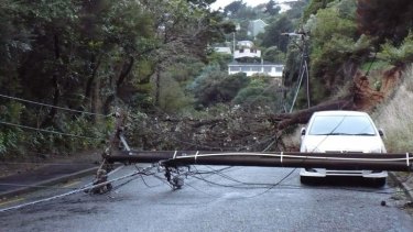 A falling tree took out a power pole and lines, blocking Warwick St in the Wellington suburb of Wilton. Photo: KIRSTY FARRANT