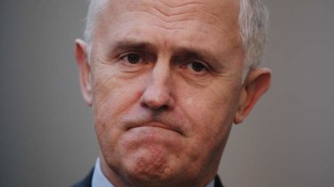 Coalition MP Malcolm Turnbull: direct action policy on climate change ''short-term''.