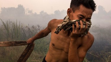 A firefighter attempts to extinguish fires in South Sumatra last year. 