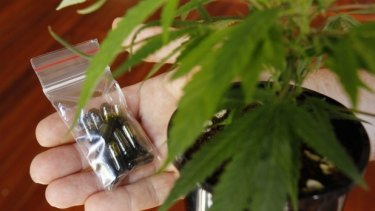 Health Minister Greg Hunt hopes Australia can be the world's top supplier of medicinal cannabis.