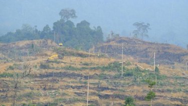 Heavy machinery makes new terraces for oil palm trees in freshly cleared forest inside the Leuser Ecosystem. Local activists say this clearing is illegal. 