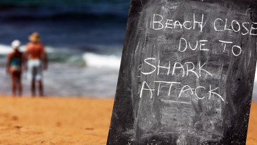 Sharks that swim into baited areas near popular beaches will be hunted by professional fishermen in aggressive new policy.