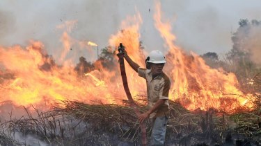 A fireman works to contain a blaze in Ogan Ilir, South Sumatra, Indonesia, at the weekend.