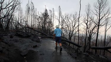 Vista of charred trees, ash and desolation ... fires are estimated to have burnt four-fifths of Warrumbungle National Park.