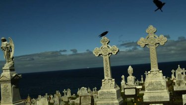Costly ...Waverly Cemetery.