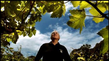 One of the lucky ones - Nat White on his thriving Mornington Peninsula vineyard.