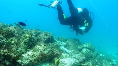 shipwrecks queensland expose secrets their ballast mound hull planking darling grace