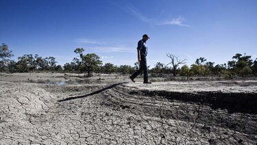 Rivers and wetlands along the Murray-Darling system suffer from low environmental flows - a problem the basin plan tries to address.