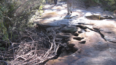 A dried-out creek above the Dendrobium mine in the Special Areas.