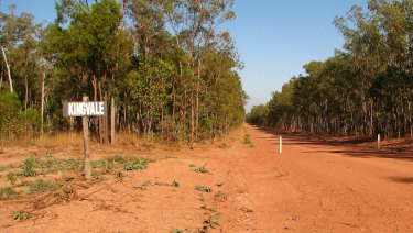 Forest at the Kingvale Station, where more than 1800 hectares is set to be cleared. Photo courtesy Australian Conservation Foundation.