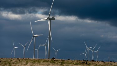Weathering the storm: The Macarthur wind farm in Victoria remains Australia's largest - but for how long?