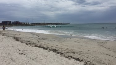 Surfers at Sand Tracks surf spot near Fremantle's Port Beach.