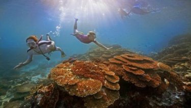 The Great Barrier Reef Foundation grant is the largest of its kind in Australian history.
