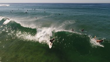 confusion sends weird return plants summer into beaches much place been april