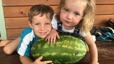 what to do if family dog bites child