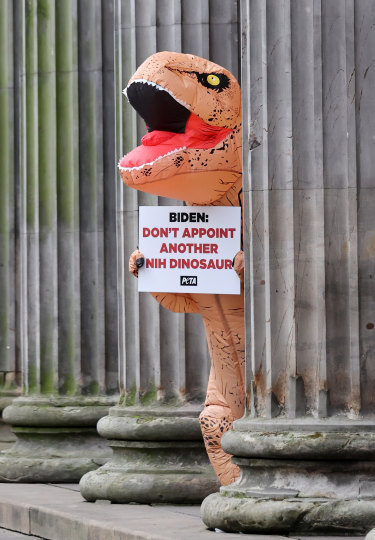 A protestor dressed as a dinosaur appeals to US President Joe Biden at a Peta demonstration outside the Gallery Of Modern Art on November 01, 2021 in Glasgow, Scotland.