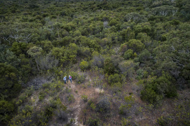 Ecologist Enhua Lee and botanist Brett Summerell at the secret replanting site to Sydney’s south.