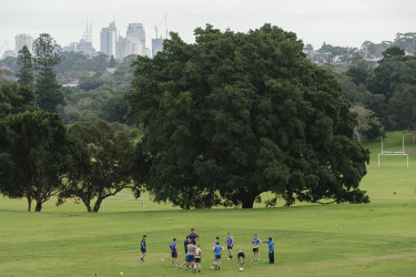 Labor would increase the 
City of Sydney green space by half by mid-century if they are to win control over the local council. 