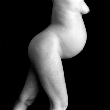 The Body Pregnant (1993) by Ella Dreyfus.