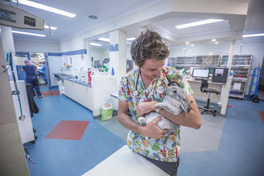 exotic specialist vet