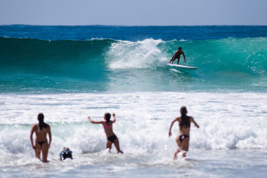 Swimmers and a surfer brave a large southerly swell at North Steyne Beach at Manly on Thursday. Heat over the coming few days up to Australia Day will likely draw many people to the NSW coast. 