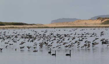 Lake Wollumboola near Culburra Beach. West Culburra is another development hotspot.