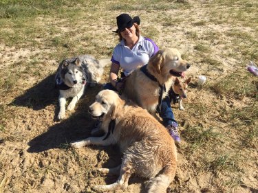 Paws Pet Therapy CEO Sharon Stewart with Ringo, Hudson, Rocky and Zep.