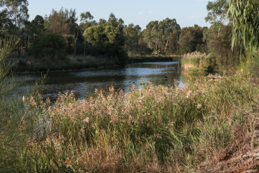 The freshwater lake at Westgate Park will be visited during a ‘Westgate Biodiversity Tour’ for ‘Open Nature’