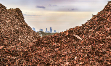 The company’s new FOGO composting facility has come online just as several councils in Melbourne are admitting they don’t have the processing power to deal with food waste.