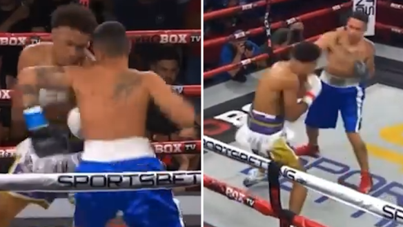 US fighter Terrence Williams has left the boxing world stunned after a brutal double hook that knocked Jonathan Ariel Sosa out cold.