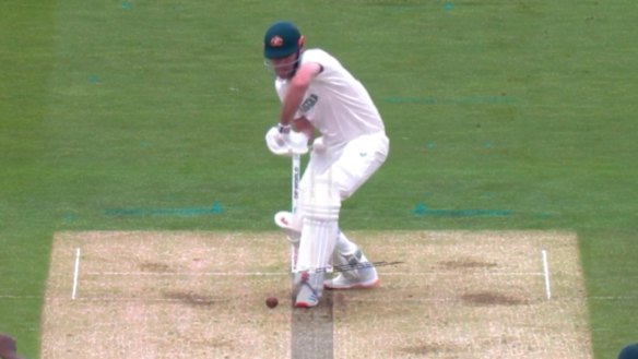 Beau Webster survives after South Africa decided not to review an lbw decision.