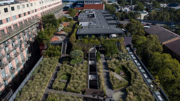 The parkland rooftop at the M Central apartment complex in Pyrmont.