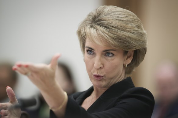 Minister Michaelia Cash in Senate estimates on Wednesday. 