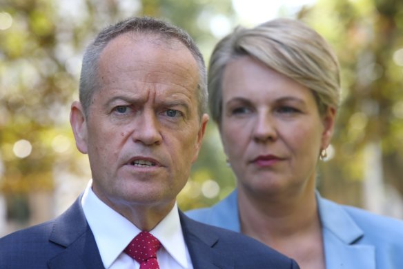 Opposition leader Bill Shorten and Labor deputy leader Tanya Plibersek say the sex ban is an effort to distract from Mr Turnbull's failings.