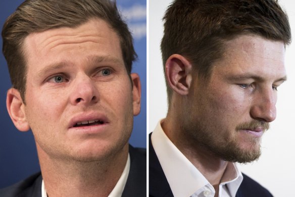 Australia's ball tampering scandal has claimed a chunk of players' careers.
