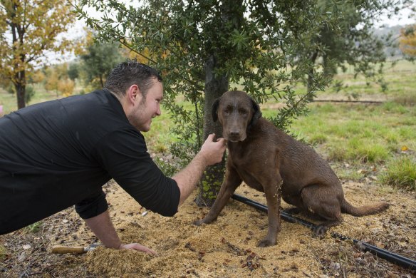 Jayson Mesman with his truffle hunting dog Willow.