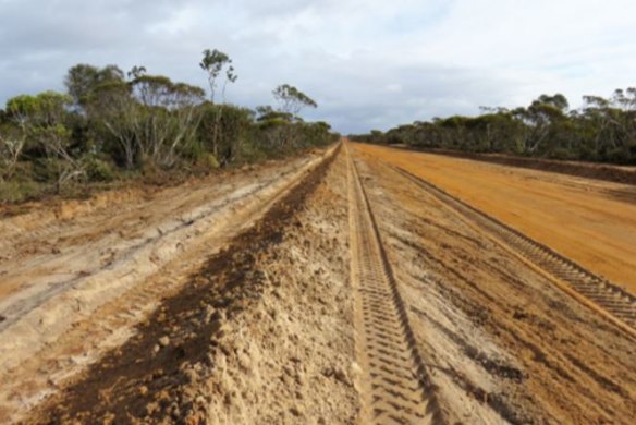 Clearing along Boxwood Hill-Ongerup Road in the Great Southern. 