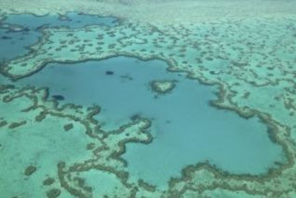 The government funding will be spent on projects to help save the reef, such as improving water quality.