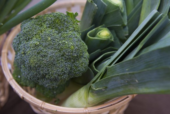 Under the proposal, broccoli seeds would undergo forced fungicide treatment before being allowed into Australia.