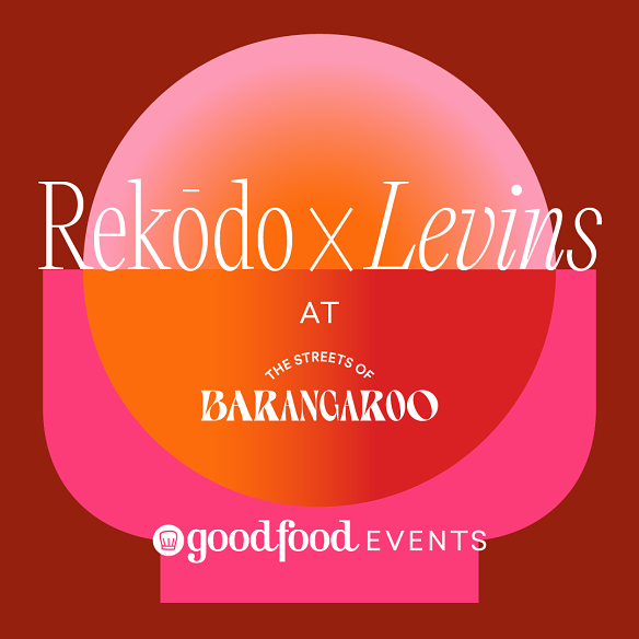 Rekodo x Levins