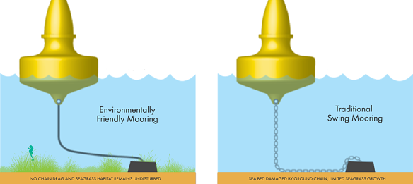 Project Restore will trial 16 seagrass friendly boat moorings, which have floating tethers rather than chains that drag along the sand and create seagrass “scars”.