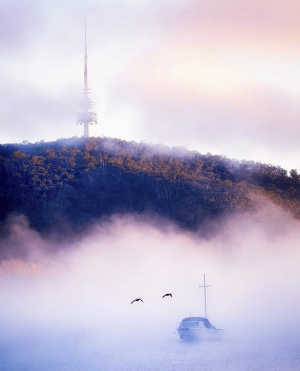A perfect Canberra scene of winter fog. 