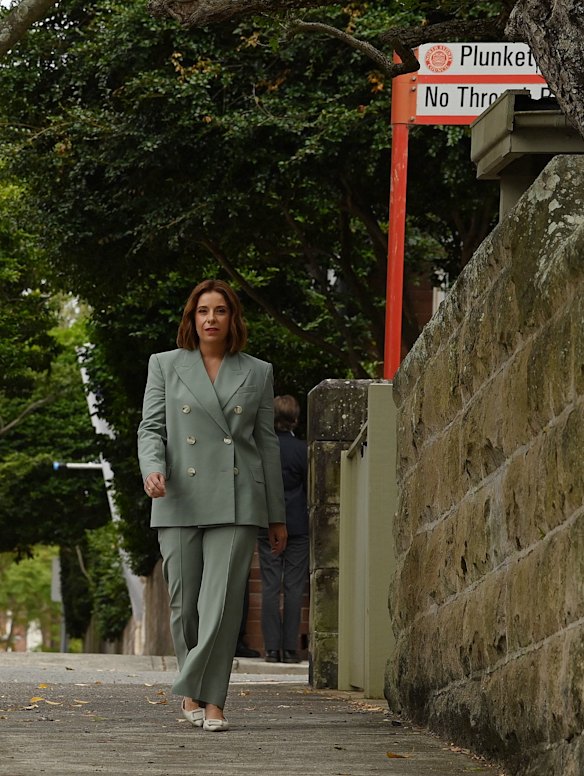 Cometh the hour, cometh the expenses scandal involving Anika Wells.