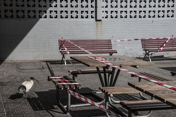 Daily life, Hurstville, Georges River LGA.