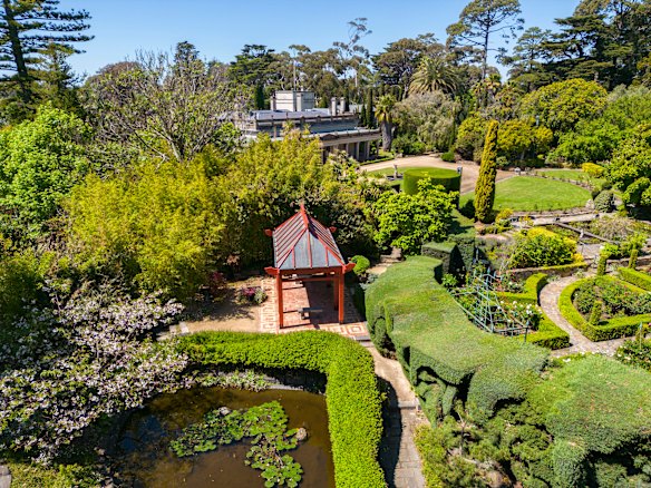 Um suporte de bambu dourado e fofo confina com um pavilhão no jardim asiático de Beleura