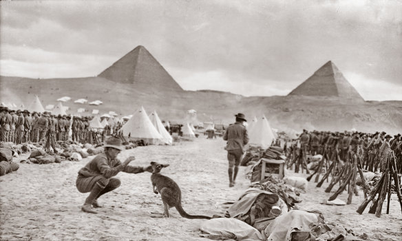World War 1 diggers, like those pictured here with their kangaroo mascot in Egypt, were known for their colourful language.