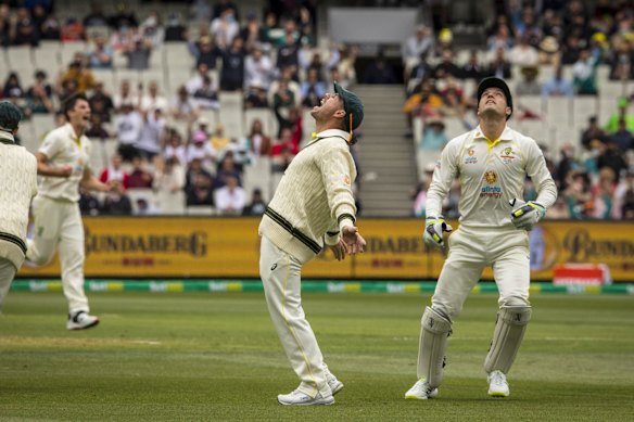 David Warner celebrates after catching Dawid Malan off Pat Cummins.
